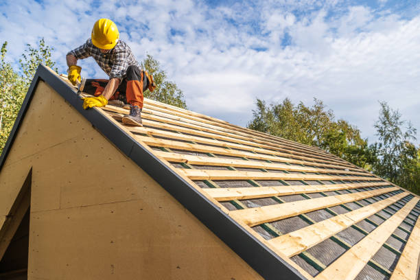 Best Storm Damage Roof Repair  in Chesapeake Beach, MD